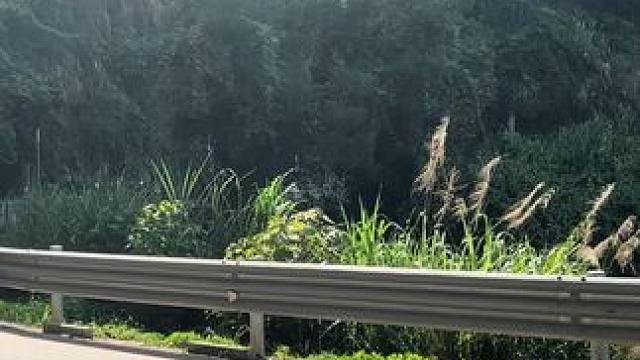 人家上山压弯 我是拐弯#本田f5 #不会压弯de小白