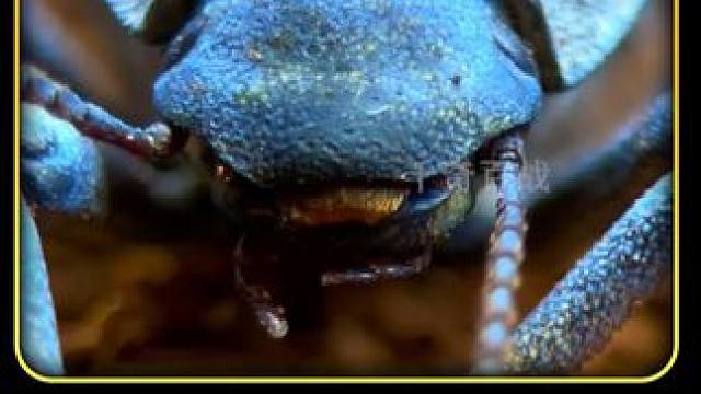 模拟沙漠生态系统#上帝模拟器 #减速带