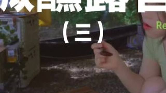 微醺露营（三）#露营 #解压 #助眠 #萌宠 #户外露营