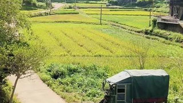 我们村，没有几户人家了，都去城里打工买了车买了房，就再也没回来住了，我就住这村里，种种地，放放牛，虽