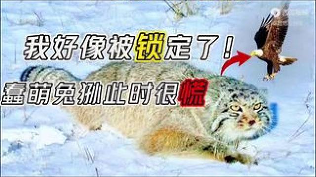 #万物皆有灵性