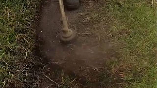 沉浸式绿化清理#dou上热门 #解压视频 #舒服又解压 #极度舒适 #是时候展现真正的技术了