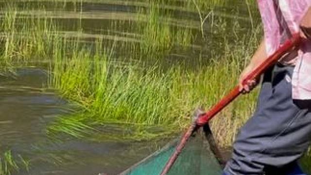 #户外捕鱼 #好大一条鱼