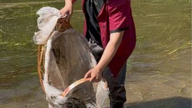 #户外捕鱼 #好多鱼