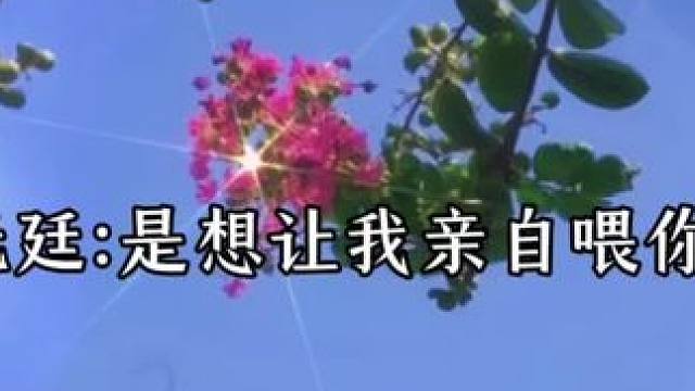 你m他脑婆，不瞪你瞪谁哈哈哈  #广播剧