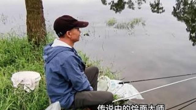 夜钓偶遇灰面大师水草边钓鱼 夜钓
偶遇灰面大师
水草边钓鱼
#2024d