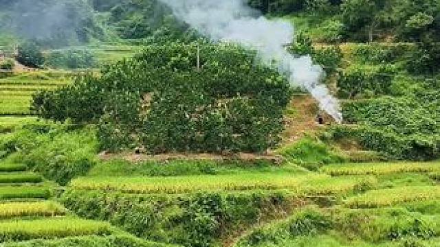 现在的农民一点抖不听话，总是不听专家的话，专跟专家对着干！#大实话 #大实话句句在理 #老百姓关心的