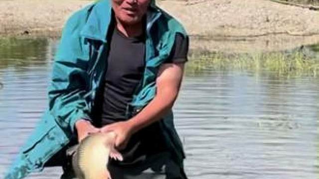 #户外捕鱼 #好大一条鱼