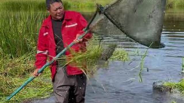 #户外捕鱼 #好大一条鱼