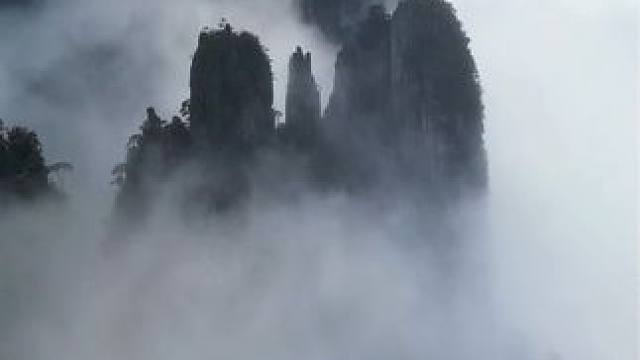 一不小心误入仙境 行走莽山绝壁栈道 让人流连忘返#航拍莽山 #一座不用爬的山 #莽山五指峰