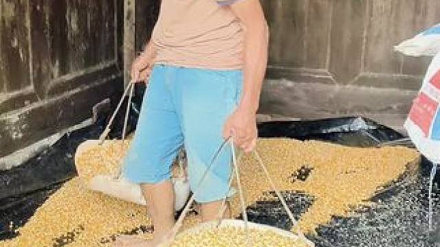 养闺女有啥用啊，只是多了一门亲事！过的不好父母操心，做的再好吃的饭菜，父母也没能吃上一口，女儿花钱的