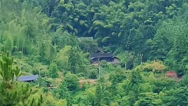 等我年龄大了，就找个这样的地方，靠山吃山，盖两间瓦房，养一群鸡鸭，种一亩水稻，安静随意踏实#农村 #