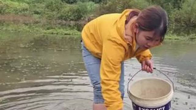 #我的乡村生活 #农村捉鱼视频 #原生态乡村生活