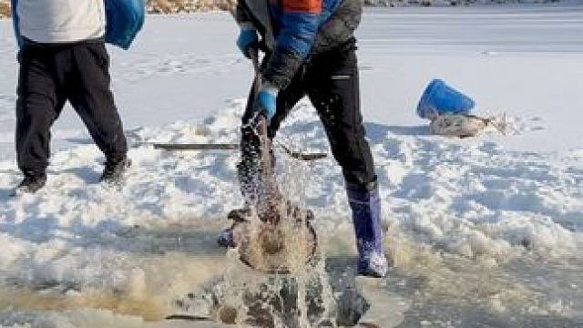 #户外捕鱼 #好多鱼