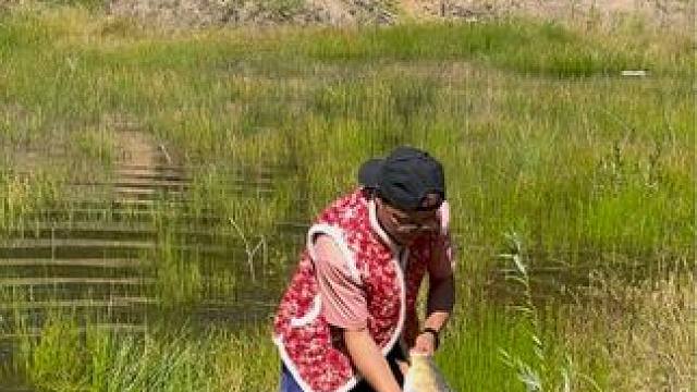 #户外捕鱼 #好大一条鱼