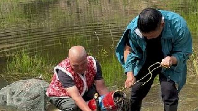 #户外捕鱼 #好多鱼