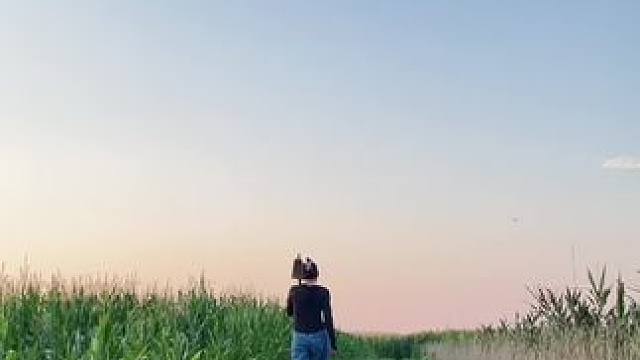 下地干活路过爷爷的坟地
老爸蹲在地头一根接一根的抽 #田间地头  #乡愁记忆 #农村生活 #河南