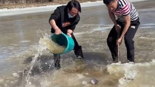 #户外捕鱼 #好多鱼