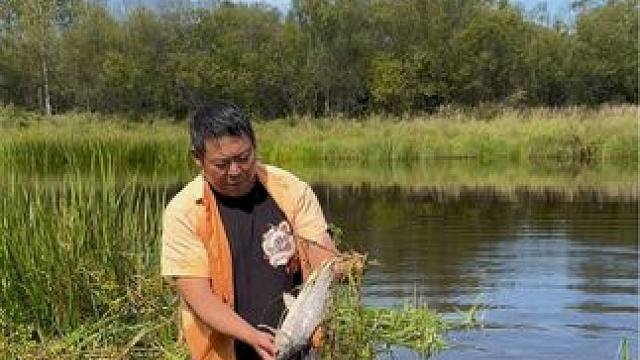 #户外捕鱼 #好大一条鱼