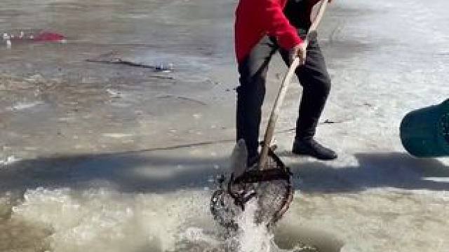 #户外捕鱼 #好多鱼