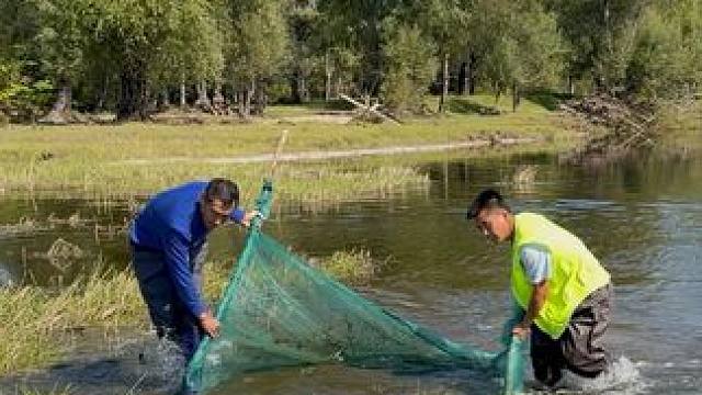 #户外捕鱼 #好多鱼