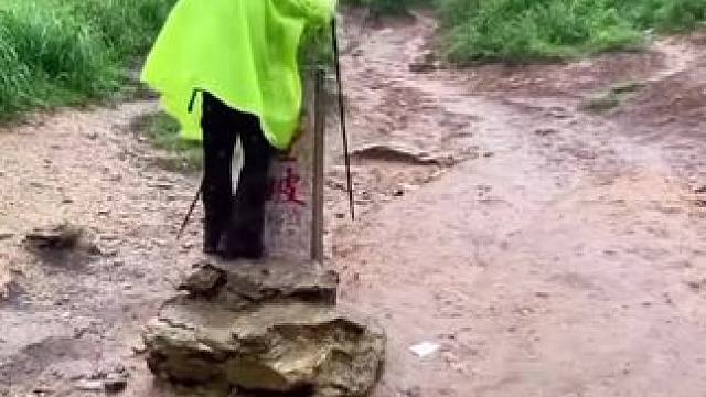 这价格还要啥自行车啊#项链 #蝴蝶项链 #低价好物