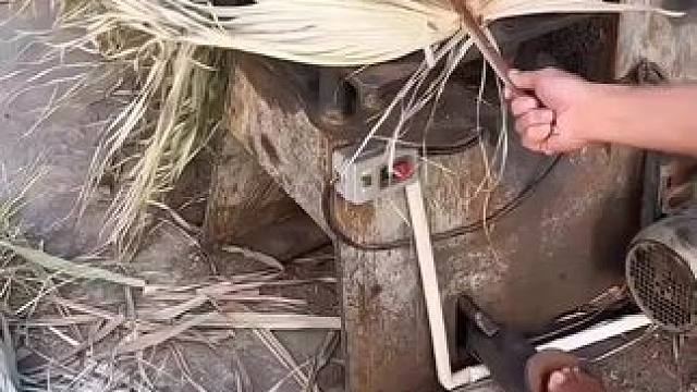 #每天都记录农村真实生活日常 #一份耕耘一份收获 #这就是农村的生活 #用