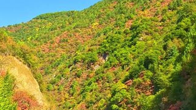 国道316陕西宝鸡市凤县段沿途秦岭秋色 #最美的风景在路上 #旅行推荐官 #秦岭