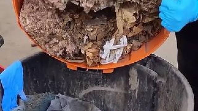 清理吸尘器，舒服了#dou上热门 #解压视频 #舒服又解压 #专业的事情交给专业人去做 #是时候展现