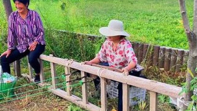 #美丽的家乡田园风光 #农村老家 #我的乡村生活 #乡土气息 #农村生活