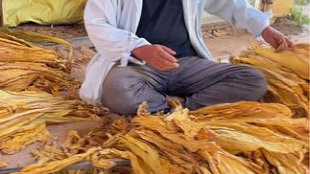 #美丽的家乡田园风光 #勤劳的农村人 #一份耕耘一份收获 #乡土气息 #收获的季节