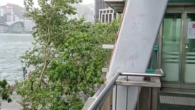 台风过后的上海