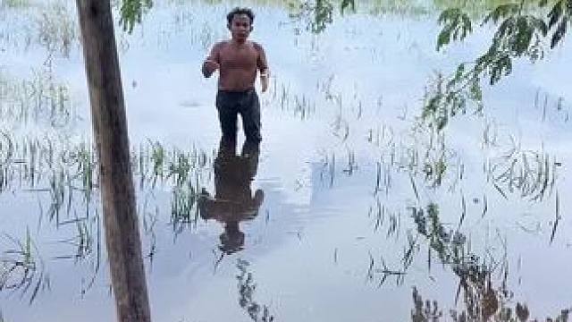 老年病又犯了 #我的乡村生活 #东南亚矮子 #我的农场生活 #东南亚八面佛