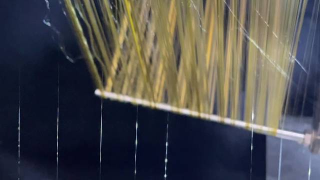 私人定制，黄金蜘蛛，蜘蛛丝制衣，借丝成衣