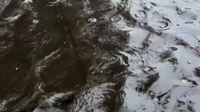 我发布了一个新视频，快来围观吧！