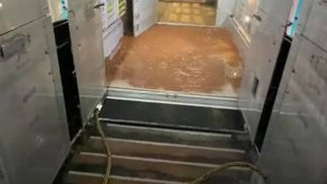 我发布了一个新视频，快来围观吧！