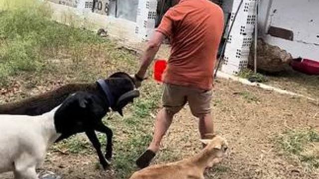 我发布了一个新视频，快来围观吧！