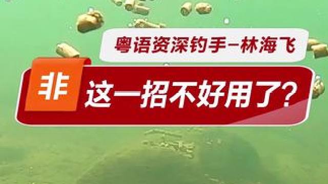 野钓底料不好用了？ 为什么野钓罗非和黑坑罗非钓底料的差别这么大？