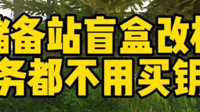 #逃离塔科夫 储备站盲盒改枪 任务都不用买钥匙