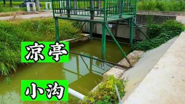 你们说这小亭子下会不会有惊喜
#钓鱼 #野钓 #户外野钓 #野河野钓#蓝鲫青春版