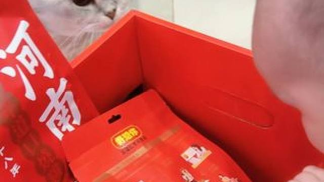 带阿b和弟弟拆粉丝寄来的中秋礼物 #谁能拒绝傻憨憨的小猫咪 #它只是不会说话其实它什么都懂