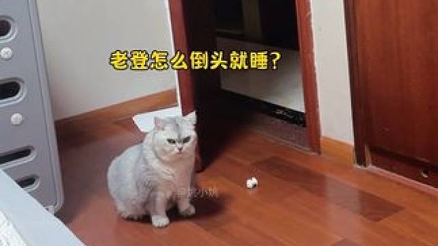 阿b：老登怎么倒头就睡？ #猫和孩子#小猫是我的解药呀 #它只是不会说话其实它什么都懂