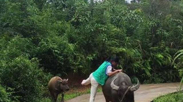 今天不骑小牛了，骑大牛#农村生活 #记录农村真实生活 #田园生活