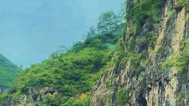 活着活着就明白了，跟任何人较劲都是在消耗自己，有些牢笼是自己给自己的。所有无能为力的事，都要慢慢接受