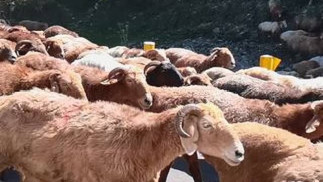 #D18结朿南彊之旅