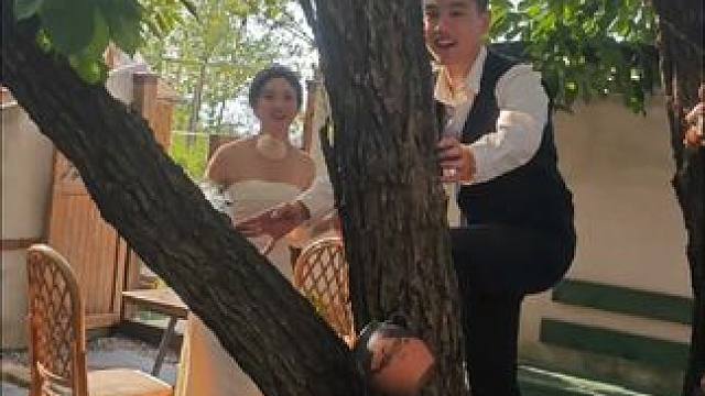新娘子为了拍照差点就给老公给赶到树上去了#客片分享 #外景拍摄花絮 #婚礼 #婚礼跟拍