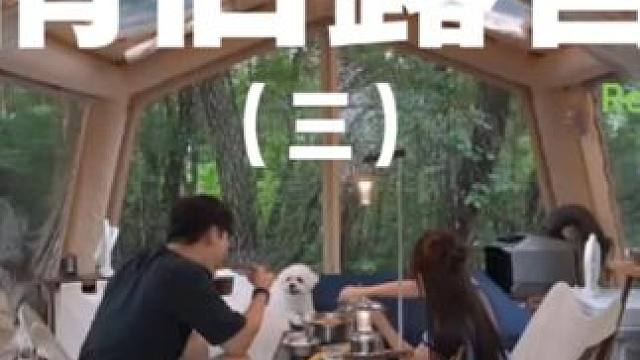 情侣露营（三）#露营 #解压 #助眠 #萌宠 #户外露营