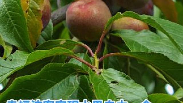 #感受大自然的气息和美景 #想去的地方总有一天会抵达 #大山深处自然美山清水秀好风光 #丰收的季节硕