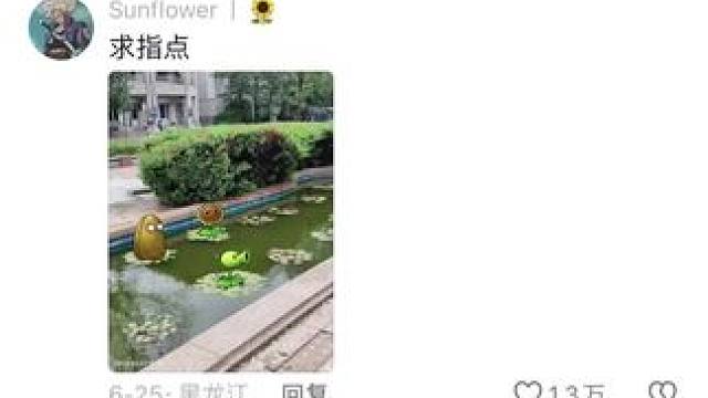 评论区摄影作品毒辣点评！#摄影作品点评 #摄影 #评论区摄影大赛 #摄影技巧 #摄影作品分析点评