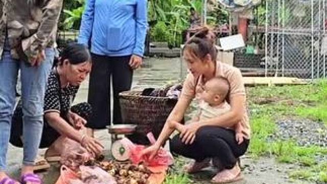 阿萍带着宝宝出来卖芋头，还为宝宝置办衣物 #野外生存 #国外生活 #单亲妈妈